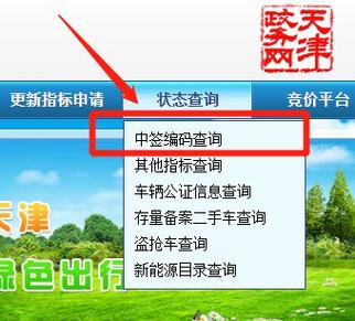 机动车摇号结果查询_天津市小型机动车摇号结果查询